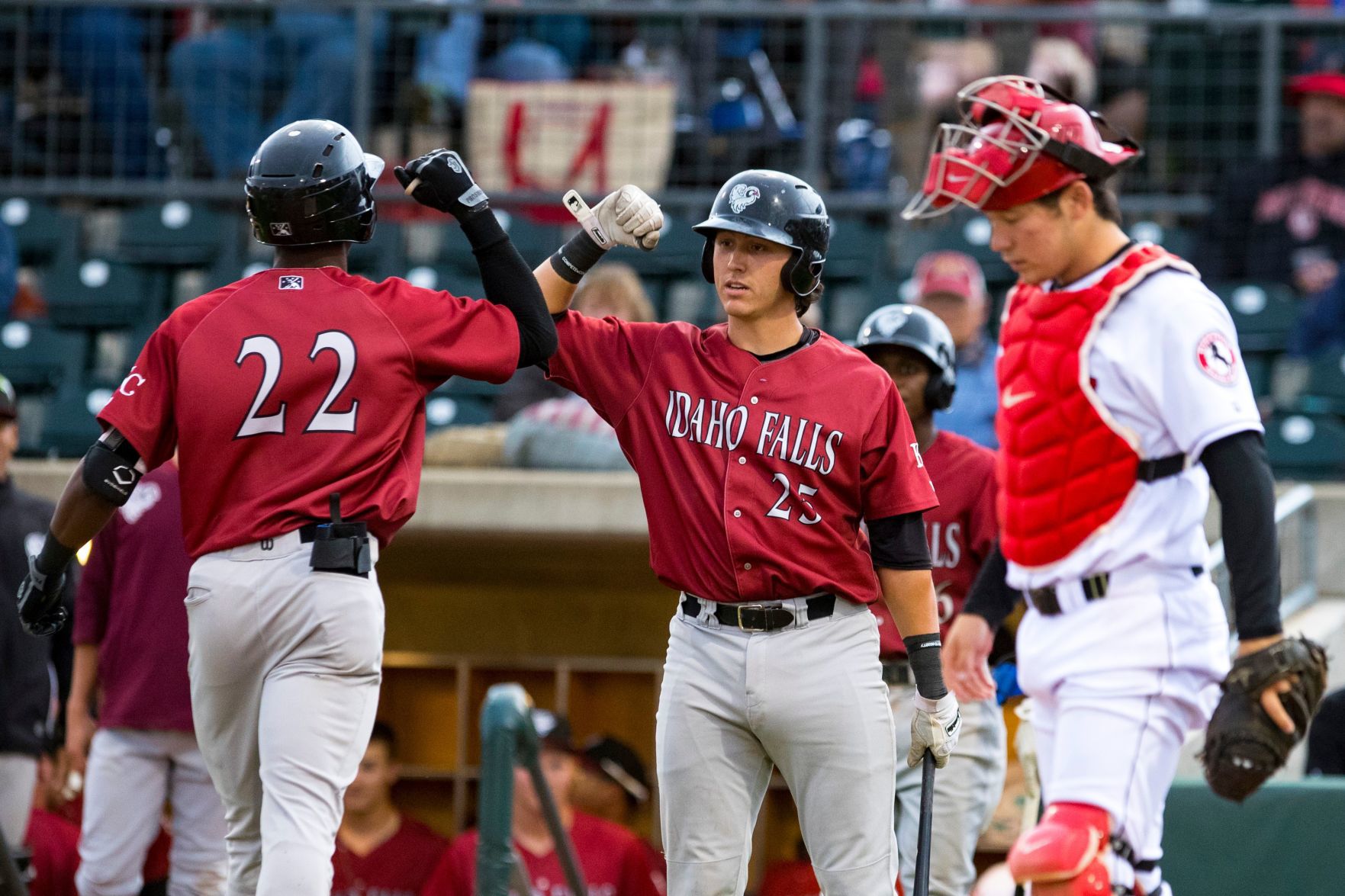 Idaho Falls Chukars
